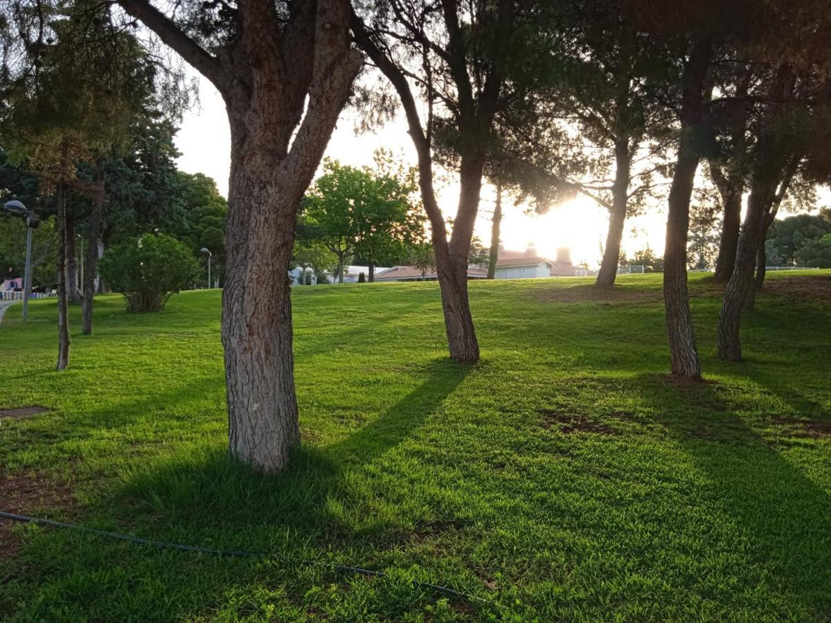 Bungalows Zaragoza Camping Exterior foto